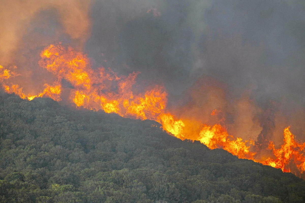 , Grèce : une forêt incendiée par des feux d’artifice lancés depuis un yacht de luxe